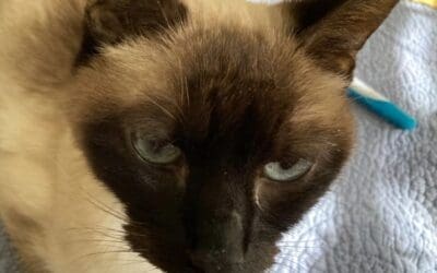 Yuri – Marietta, Georgia