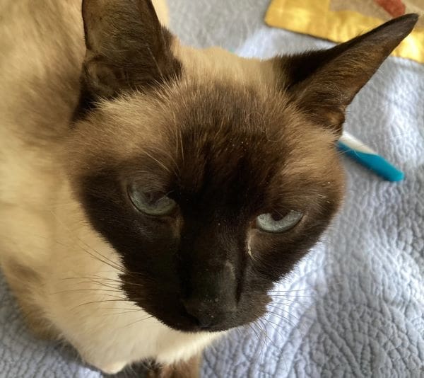 Yuri – Marietta, Georgia