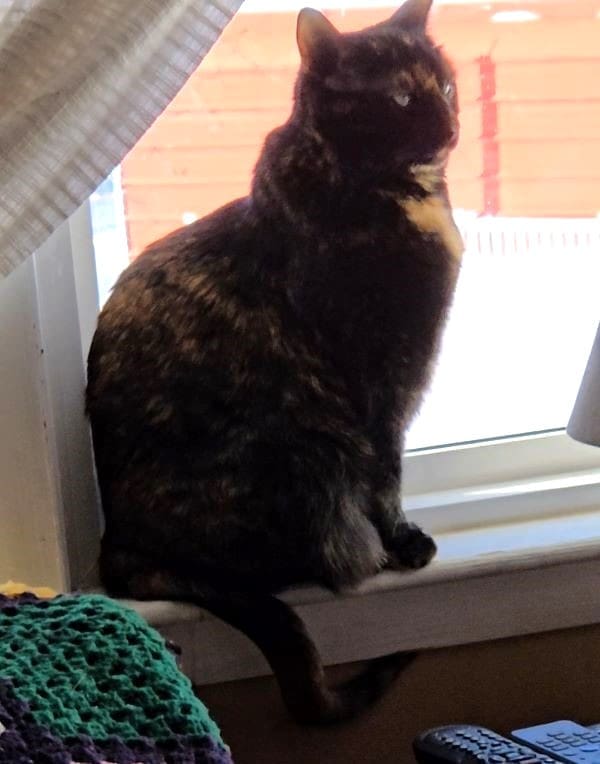 Sophie 2 cropped and resized and lightened