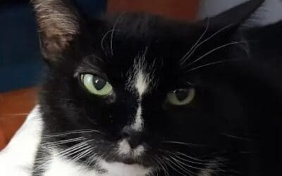 Starla – Hamilton, New Jersey